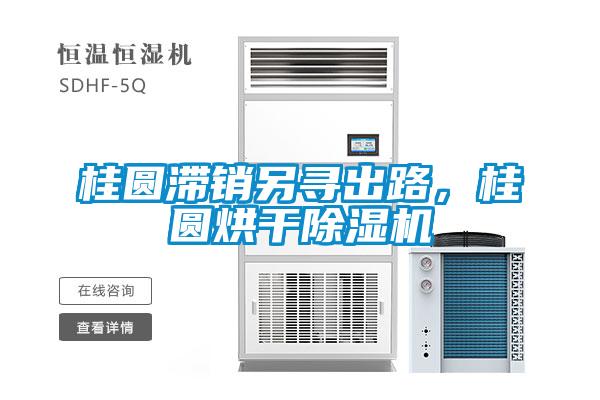桂圓滯銷另尋出路，桂圓烘干除濕機(jī)