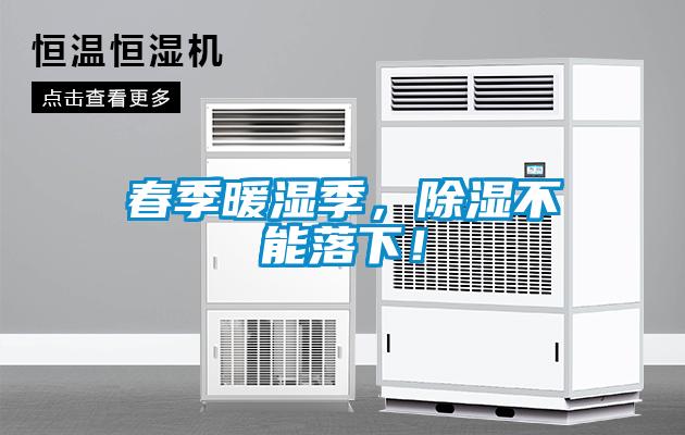春季暖濕季，除濕不能落下！