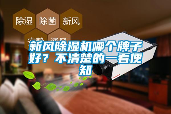 新風除濕機哪個牌子好？不清楚的一看便知