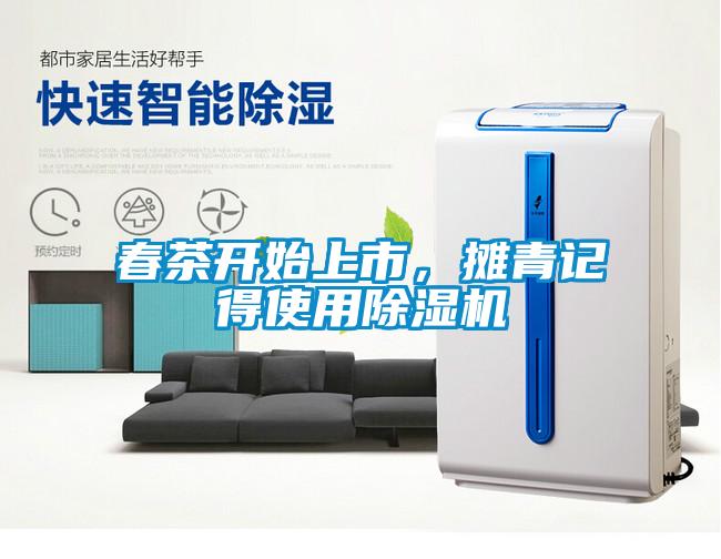 春茶開(kāi)始上市，攤青記得使用除濕機(jī)