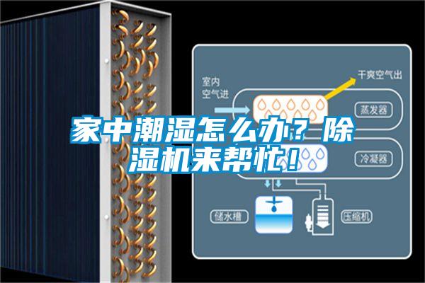 家中潮濕怎么辦？除濕機(jī)來幫忙！