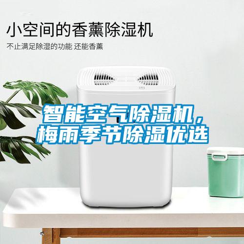 巴西菇、姬松茸烘干機(jī)-怎樣烘干色澤好且菇體褶片完整？