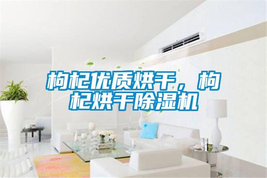 枸杞優(yōu)質烘干，枸杞烘干除濕機