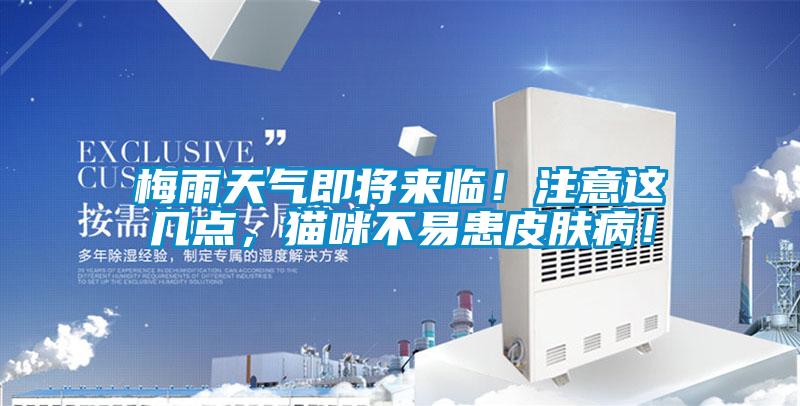 梅雨天氣即將來臨！注意這幾點(diǎn)，貓咪不易患皮膚?。?/></p>
						    <p style=