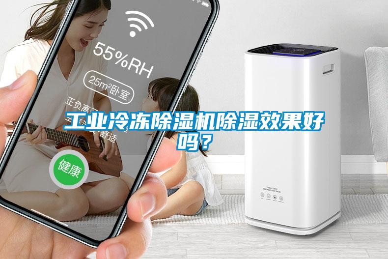 工業(yè)冷凍除濕機(jī)除濕效果好嗎？