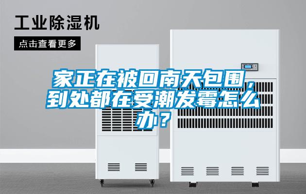 家正在被回南天包圍，到處都在受潮發(fā)霉怎么辦？