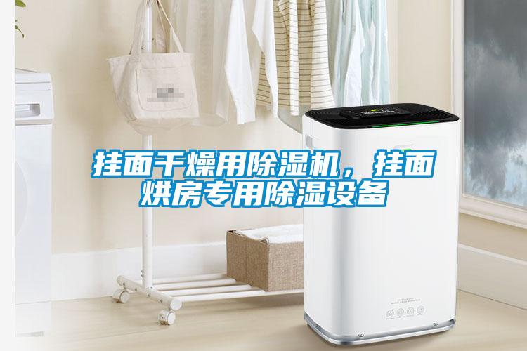 掛面干燥用除濕機，掛面烘房專用除濕設(shè)備