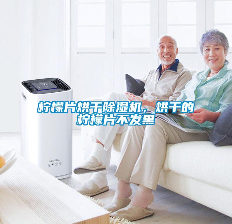 檸檬片烘干除濕機(jī)，烘干的檸檬片不發(fā)黑