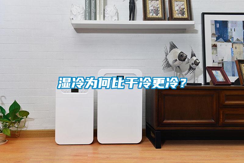 濕冷為何比干冷更冷？