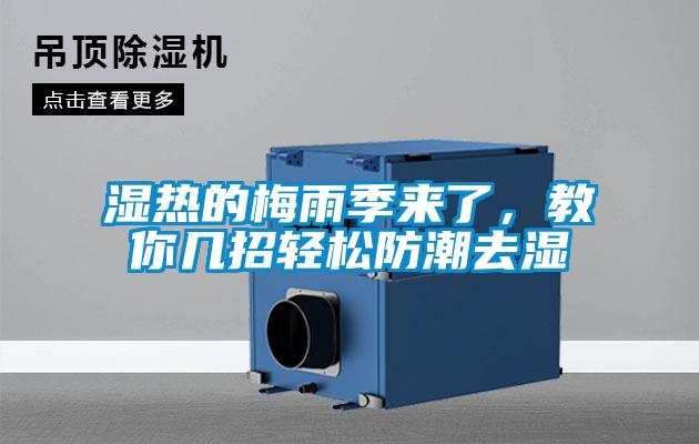 濕熱的梅雨季來(lái)了，教你幾招輕松防潮去濕
