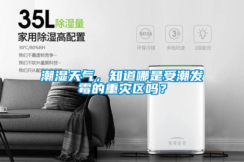 潮濕天氣，知道哪是受潮發(fā)霉的重災(zāi)區(qū)嗎？