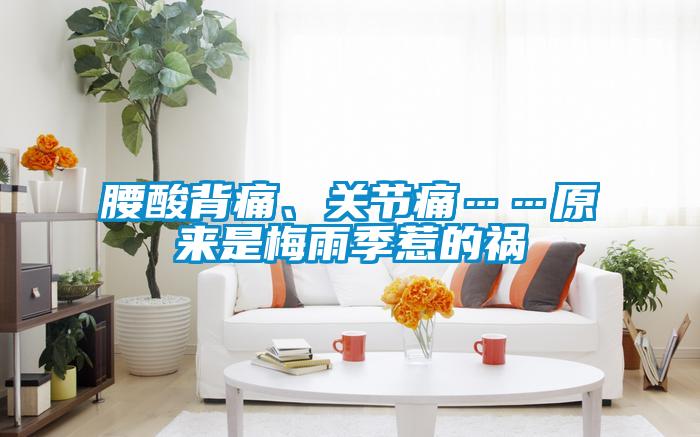 腰酸背痛、關(guān)節(jié)痛……原來是梅雨季惹的禍