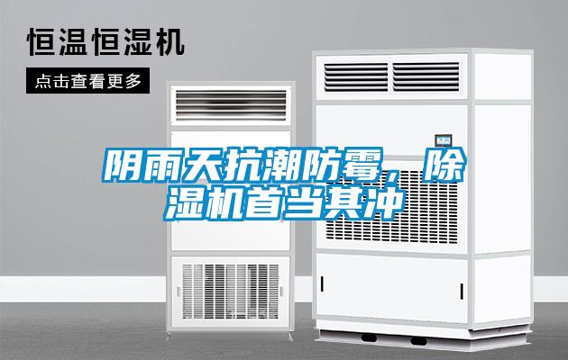 陰雨天抗潮防霉，除濕機首當(dāng)其沖