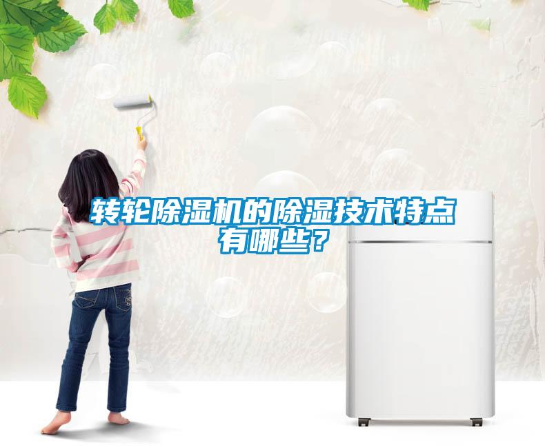 轉(zhuǎn)輪除濕機(jī)的除濕技術(shù)特點(diǎn)有哪些？