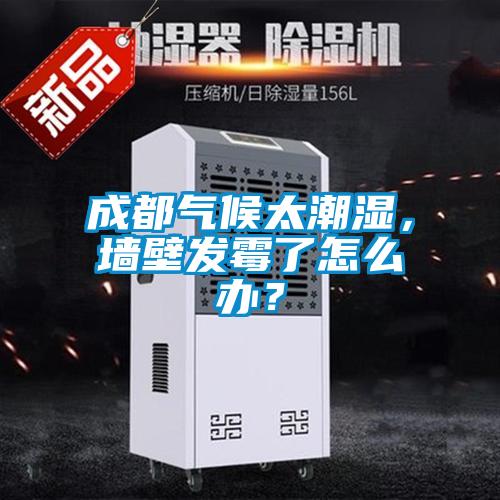 成都氣候太潮濕，墻壁發(fā)霉了怎么辦？