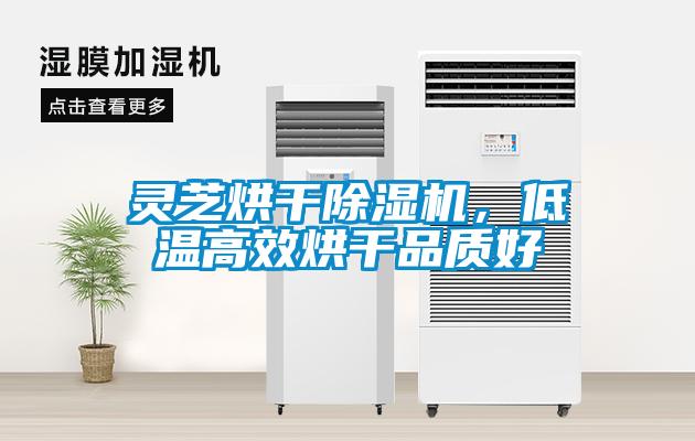 靈芝烘干除濕機(jī)，低溫高效烘干品質(zhì)好