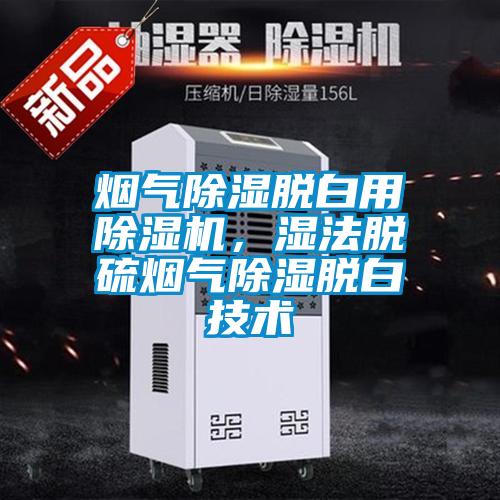 煙氣除濕脫白用除濕機(jī)，濕法脫硫煙氣除濕脫白技術(shù)