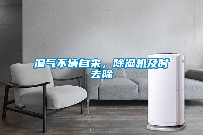 濕氣不請(qǐng)自來(lái)，除濕機(jī)及時(shí)去除