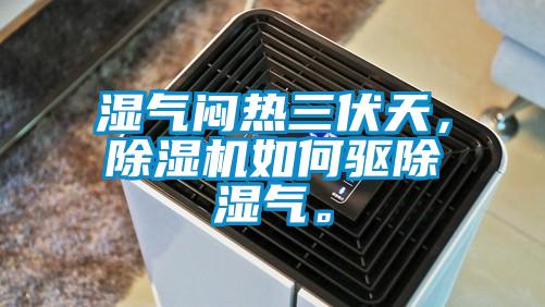 濕氣悶熱三伏天，除濕機如何驅(qū)除濕氣。