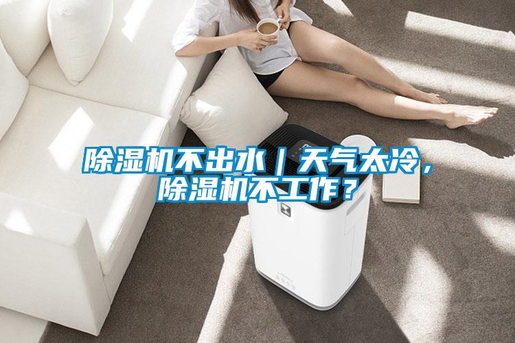 除濕機(jī)不出水｜天氣太冷，除濕機(jī)不工作？