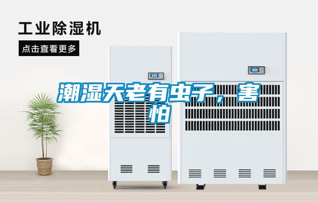 潮濕天老有蟲子，害怕