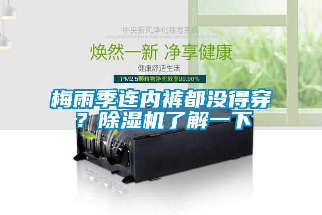 梅雨季連內褲都沒得穿？除濕機了解一下