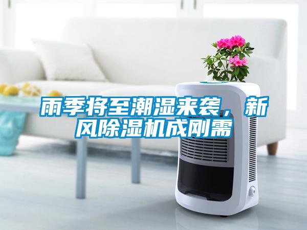 雨季將至潮濕來襲，新風除濕機成剛需