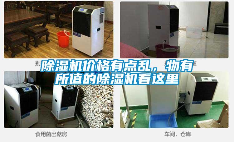 除濕機(jī)價(jià)格有點(diǎn)亂，物有所值的除濕機(jī)看這里