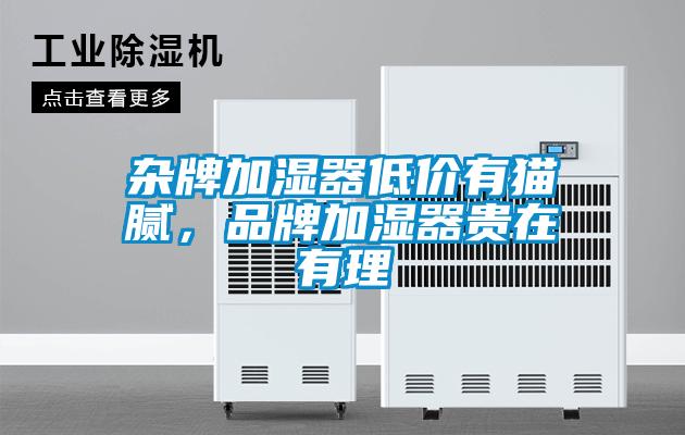 雜牌加濕器低價有貓膩，品牌加濕器貴在有理