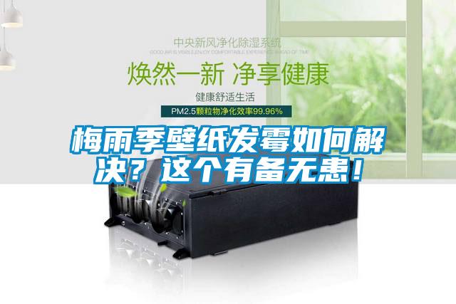 梅雨季壁紙發(fā)霉如何解決？這個(gè)有備無患！