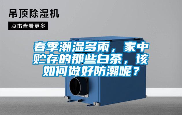 春季潮濕多雨，家中貯存的那些白茶，該如何做好防潮呢？