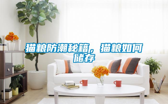 貓糧防潮秘籍，貓糧如何儲存