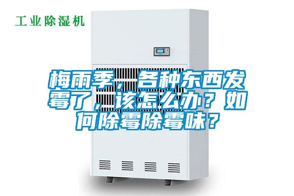梅雨季，各種東西發(fā)霉了，該怎么辦？如何除霉除霉味？