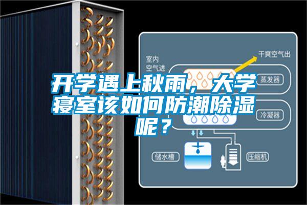開學(xué)遇上秋雨，大學(xué)寢室該如何防潮除濕呢？