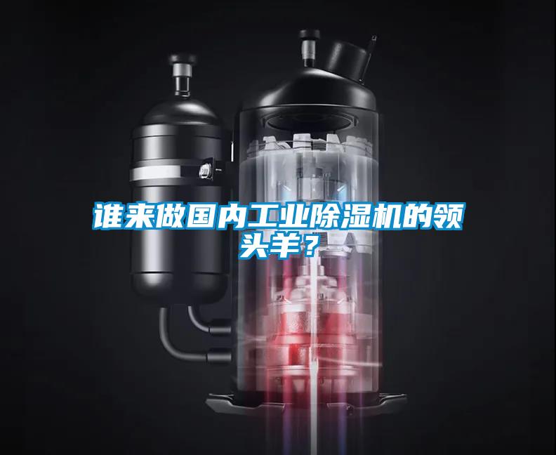 誰來做國內(nèi)工業(yè)除濕機的領(lǐng)頭羊？
