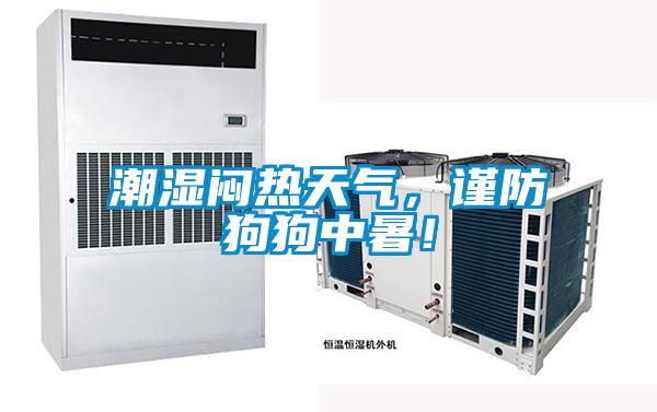 潮濕悶熱天氣，謹(jǐn)防狗狗中暑！