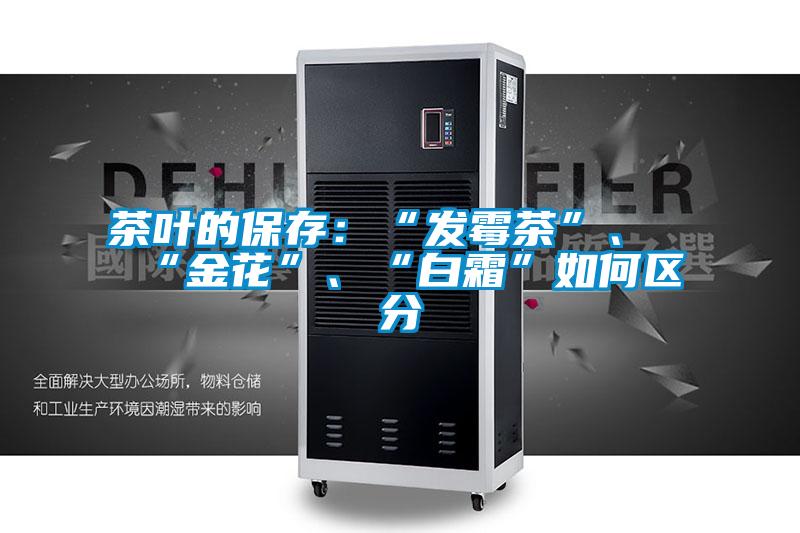 茶葉的保存：“發(fā)霉茶”、“金花”、“白霜”如何區(qū)分