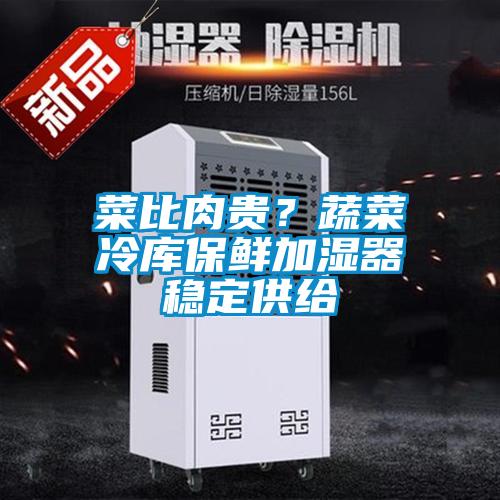 菜比肉貴？蔬菜冷庫保鮮加濕器穩(wěn)定供給