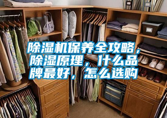 除濕機保養(yǎng)全攻略，除濕原理，什么品牌最好，怎么選購