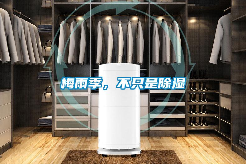 梅雨季，不只是除濕