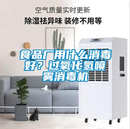 食品廠用什么消毒好？過(guò)氧化氫噴霧消毒機(jī)