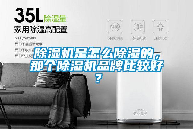 除濕機(jī)是怎么除濕的，那個(gè)除濕機(jī)品牌比較好？
