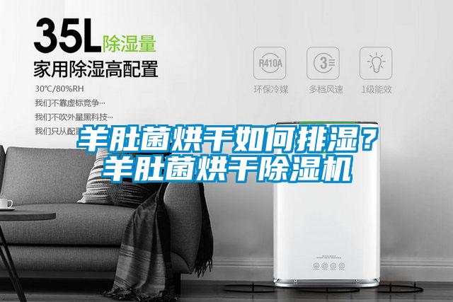 羊肚菌烘干如何排濕？羊肚菌烘干除濕機(jī)