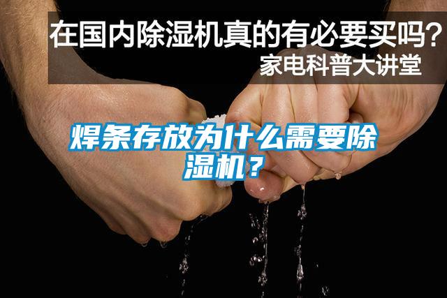 焊條存放為什么需要除濕機？