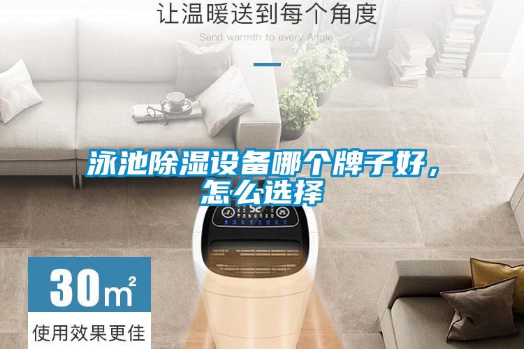 泳池除濕設(shè)備哪個(gè)牌子好，怎么選擇