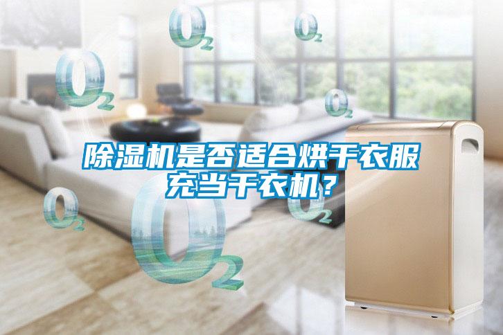除濕機(jī)是否適合烘干衣服充當(dāng)干衣機(jī)？