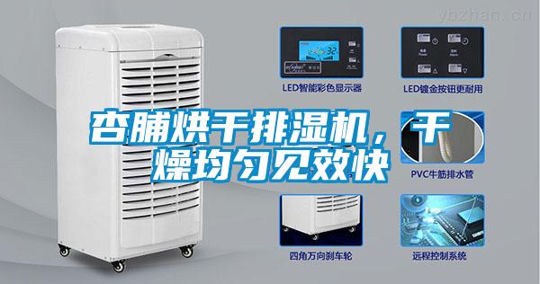 杏脯烘干排濕機(jī)，干燥均勻見效快