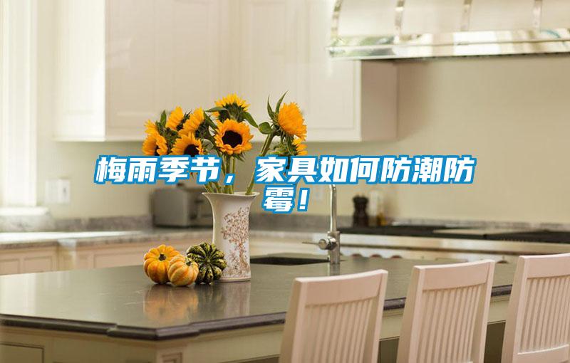 梅雨季節(jié)，家具如何防潮防霉！