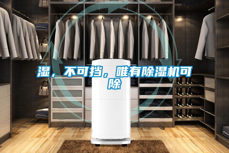 濕，不可擋，唯有除濕機(jī)可除