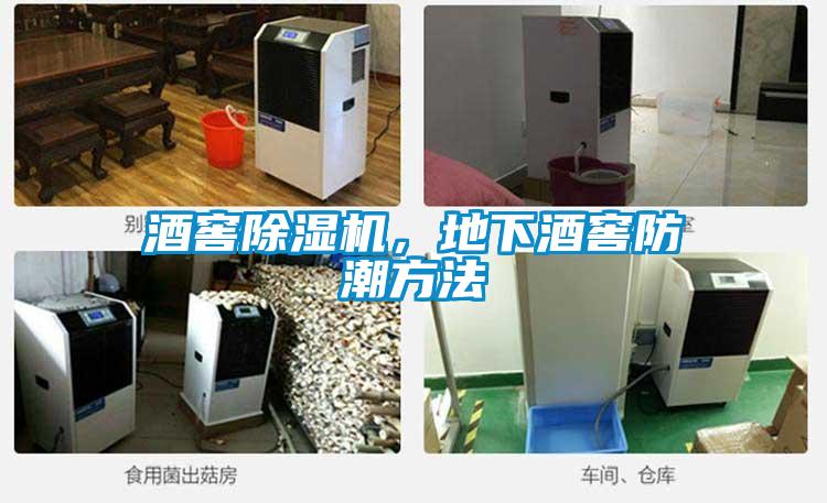 酒窖除濕機(jī)，地下酒窖防潮方法